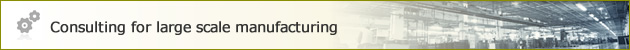 Consulting for large scale manufacturing 